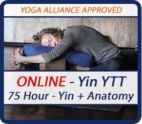 Anatomy and Yin Yoga Teacher Training
